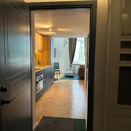 Διαμέρισμα M Loft3 Spacious Center Loft With Free Parking Κάουνας